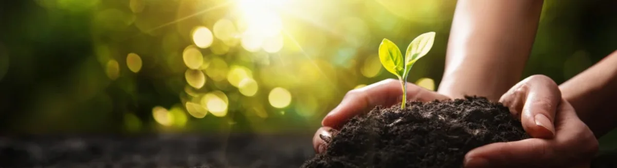 Mikroelementy w zbożach: Mn, Cu, Zn — program dolistny oparty na ryzyku i objawach