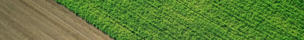 Mężczyzna spacerujący po polu