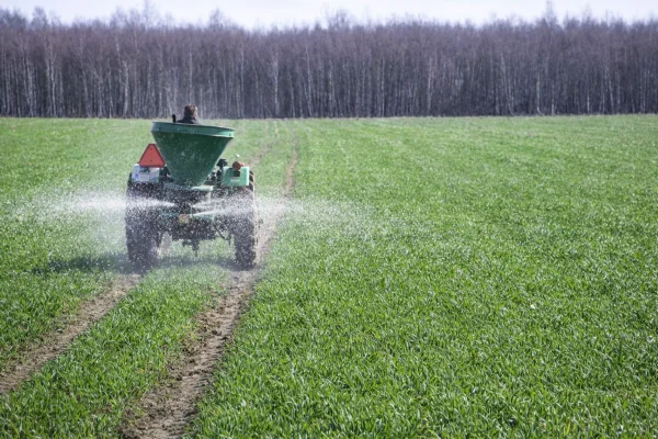 Siarka wczesną wiosną – cichy bohater wysokiego białka w ziarnie