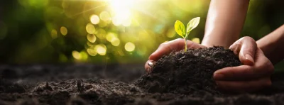 Co wyróżnia biostymulator roślin MicroSpeed® Energy?