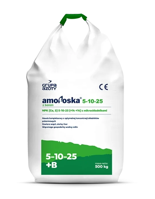 AMOFOSKA NPK 5-10-25 + 0,1 B