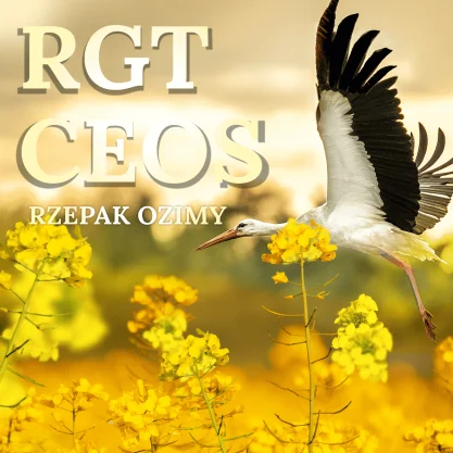 RZEPAK OZIMY CEOS F1 ZAPRAWA INTEGRAL PRO + LUMIPOSA