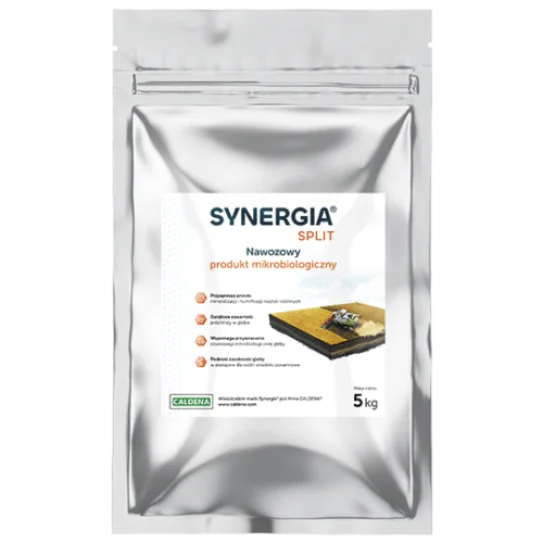 Synergia Split 1 KG