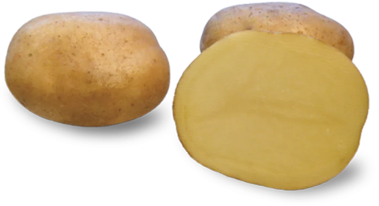 ZIEMNIAK DENAR 200 kg