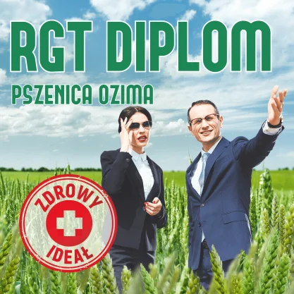 PSZENICA OZIMA RGT DIPLOM  1 tona w op. 500 kg