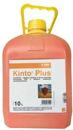 ZAPRAWA KINTO PLUS 10 L