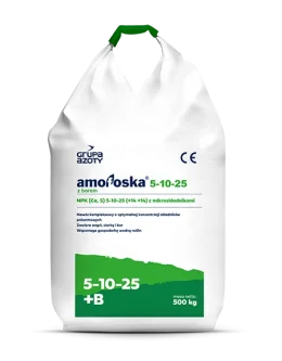 AMOFOSKA NPK 5-10-25 + 0,1 B