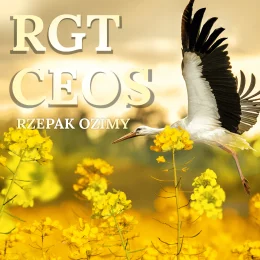 RZEPAK OZIMY CEOS F1 ZAPRAWA INTEGRAL PRO + LUMIPOSA
