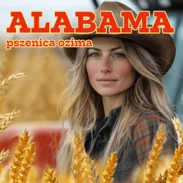 PSZENICA OZIMA ALABAMA 1 tona w op. 500 kg
