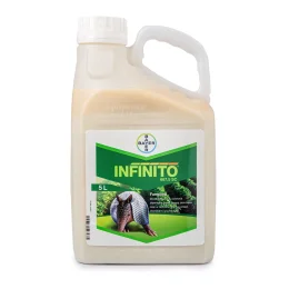 FUNGICYD INFINITO 687,5 SC 5 L