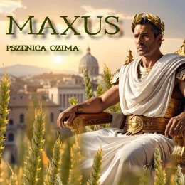 PSZENICA OZIMA MAXUS 1 tona w op. 50 kg