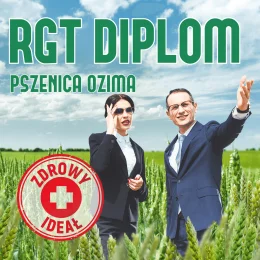PSZENICA OZIMA RGT DIPLOM  1 tona w op. 500 kg