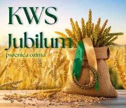 PSZENICA OZIMA KWS JUBILUM 1 tona w op. 500 kg