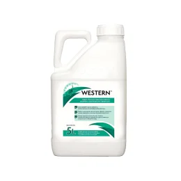 WESTERN 5 L