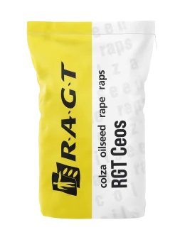 RZEPAK OZIMY CEOS F1 ZAPRAWA INTEGRAL PRO