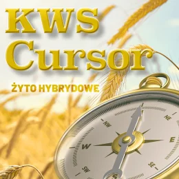 ŻYTO HYBRYDOWE KWS CURSOR AGRAVITA C1, F1
