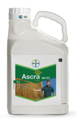 ASCRA XPRO 260 EC 5L