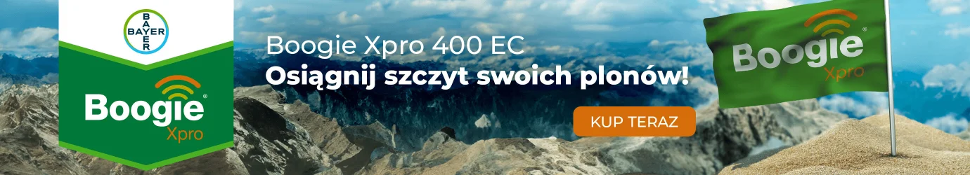Boogie XPRO