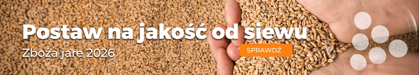 Materiał siewny zbóż jarych